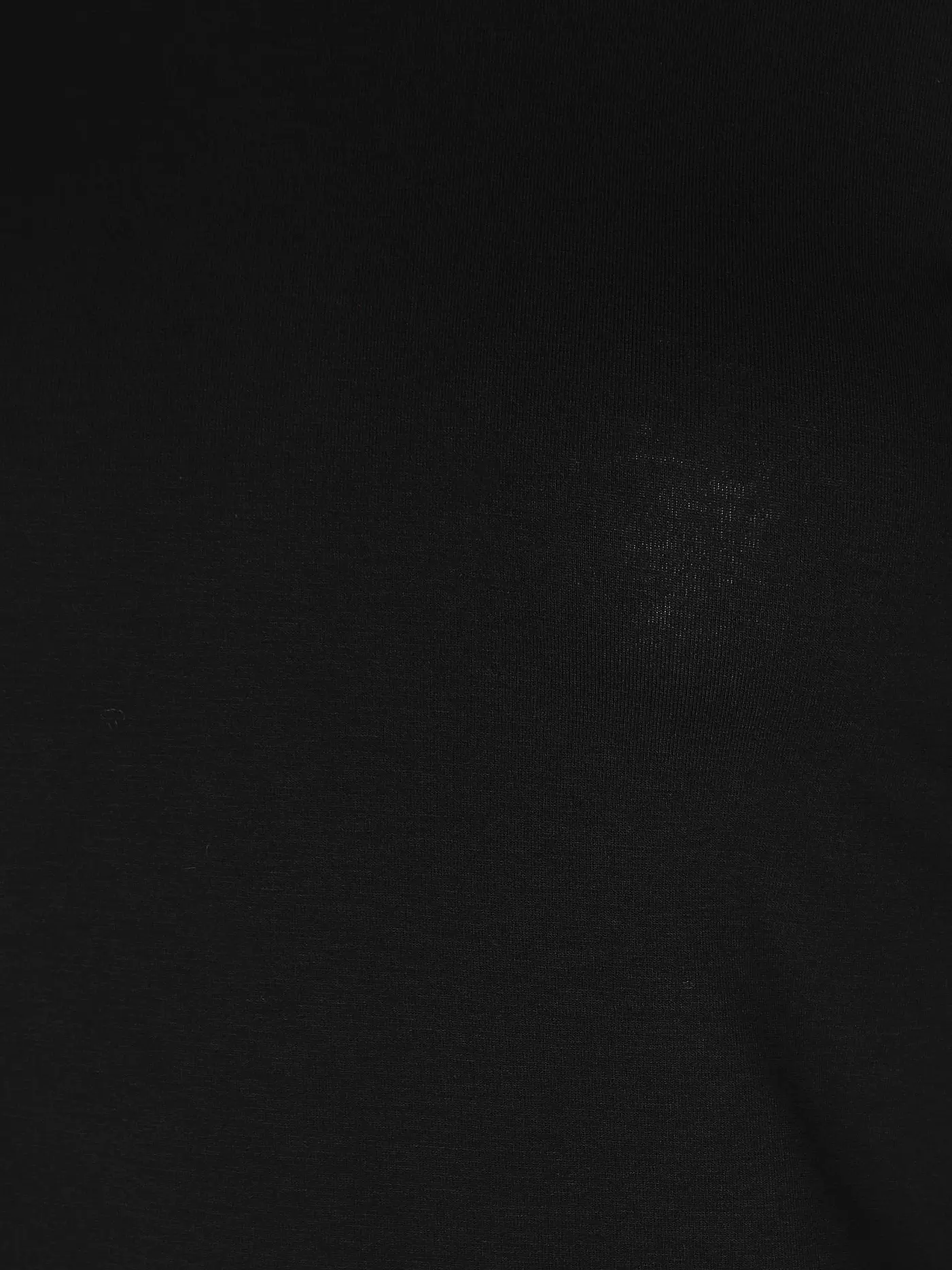 WEEKEND MAX MARA | Rollkragenshirt MULTIF | schwarz