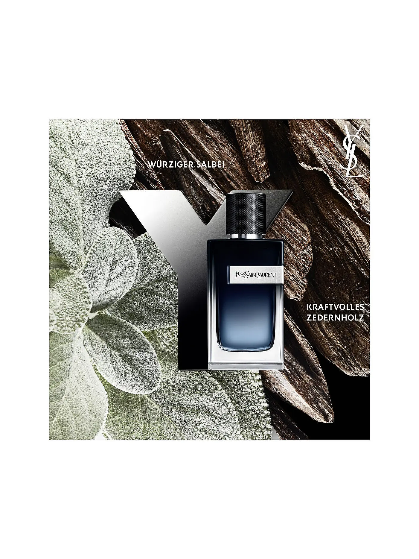 YVES SAINT LAURENT | Y Eau de Parfum 100ml | keine Farbe