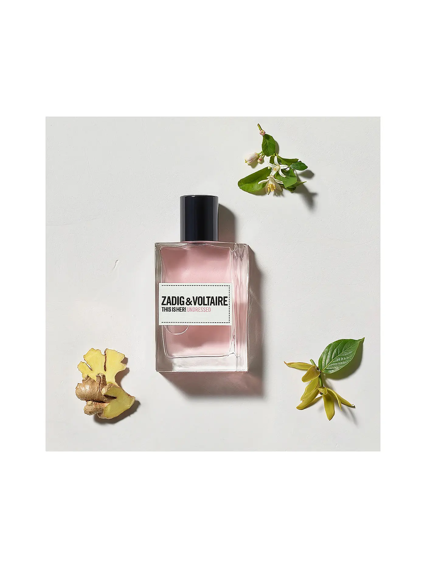 ZADIG & VOLTAIRE | This is HER! Undressed Eau de Parfum 50ml | keine Farbe